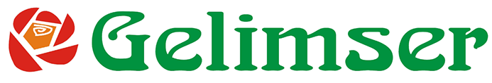 logo gemliser